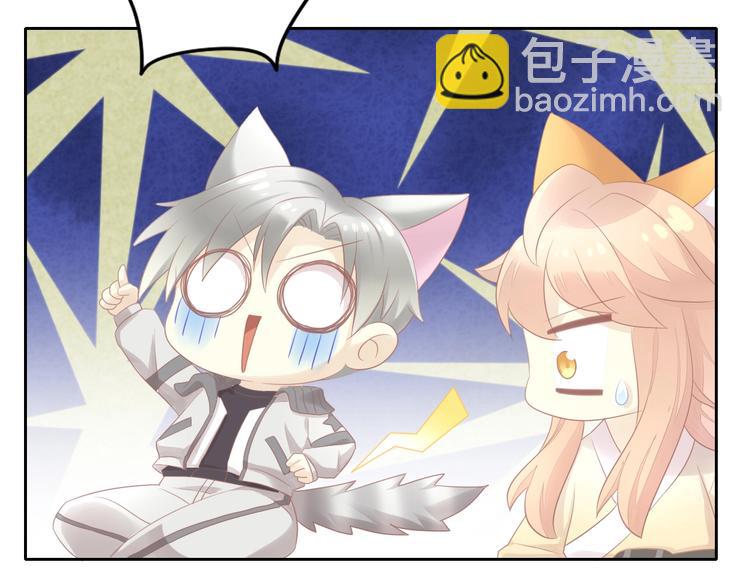 第129话 猫舍C位（五）56