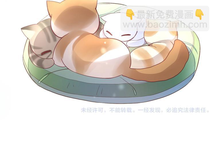 第1话  猫主子驾到！81