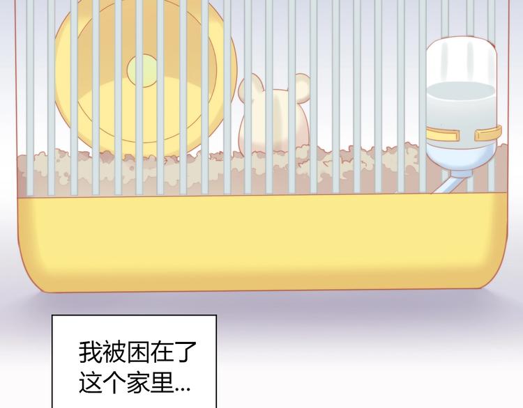 第108话 仓鼠也有梦想！9