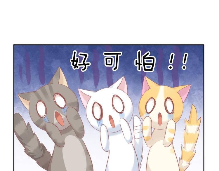 第79话 一只猫的战争15