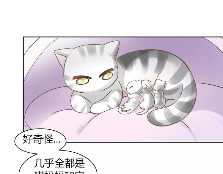 第27话 总攻现身45