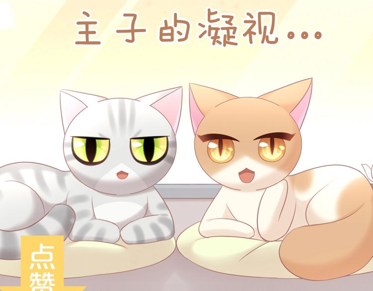 第129话 猫舍C位（五）98