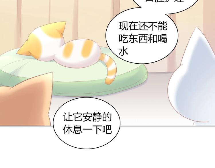 第114话 猫咪也要刷牙！56