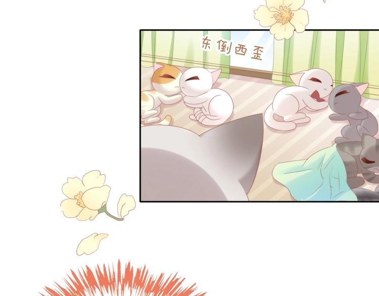 第133话 撸猫技师（一）29