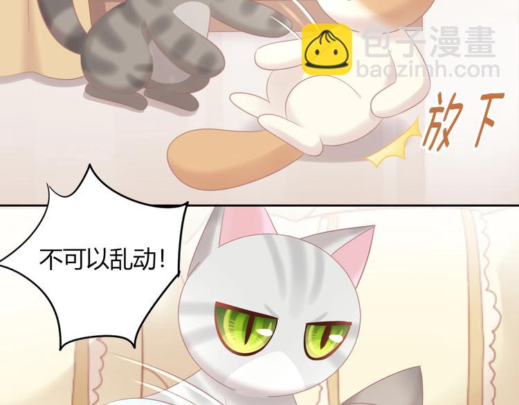 第128话 猫舍C位（四）18