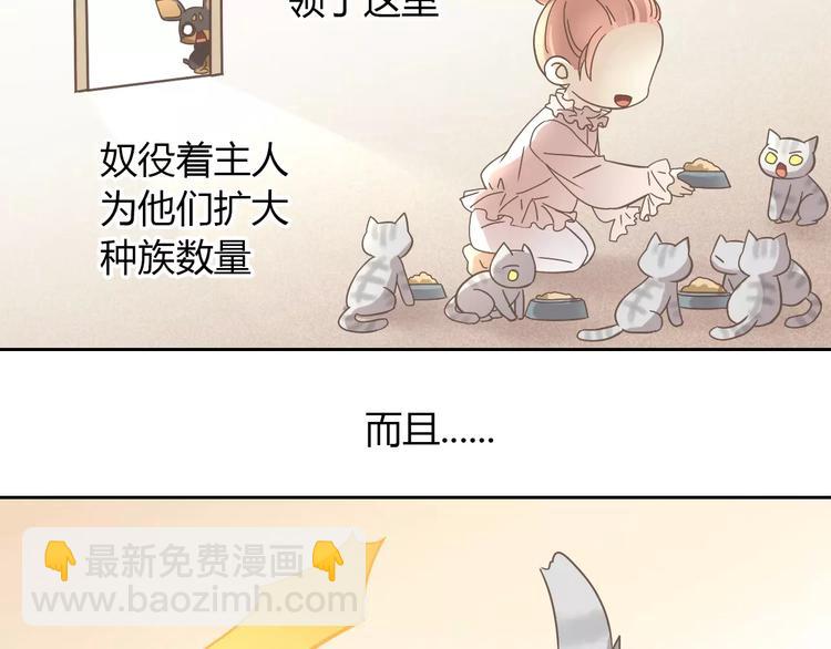 第28话 迷之自信10