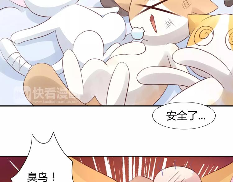第39话 鸟妈妈的苦心57