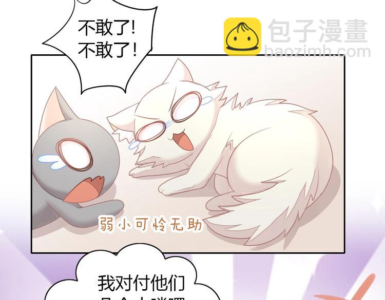第126话 猫舍C位（二）40