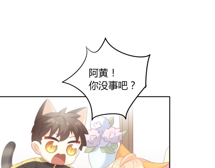 第127话 猫舍C位（三）70