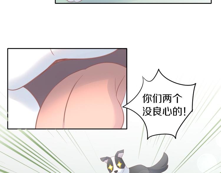 第143话 腮红鹦鹉8