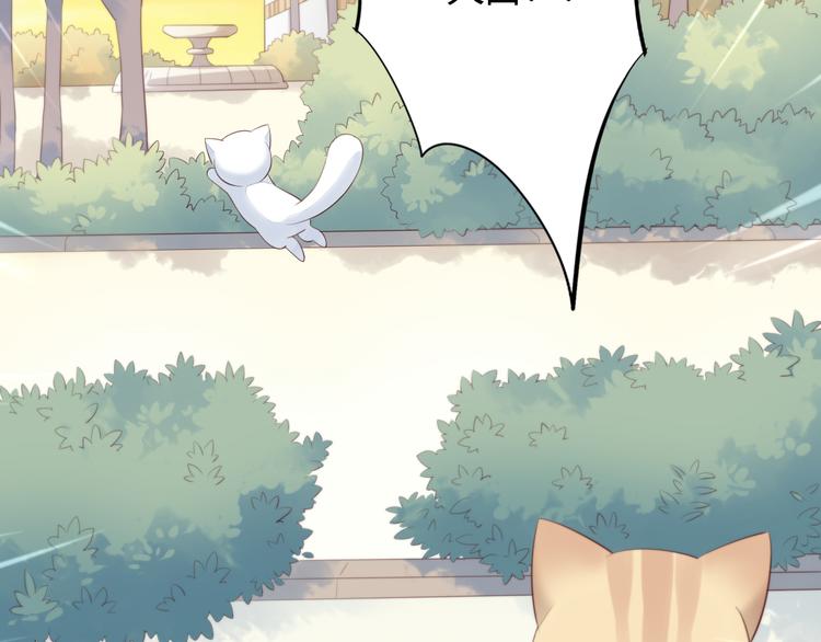 第66话 破裂31