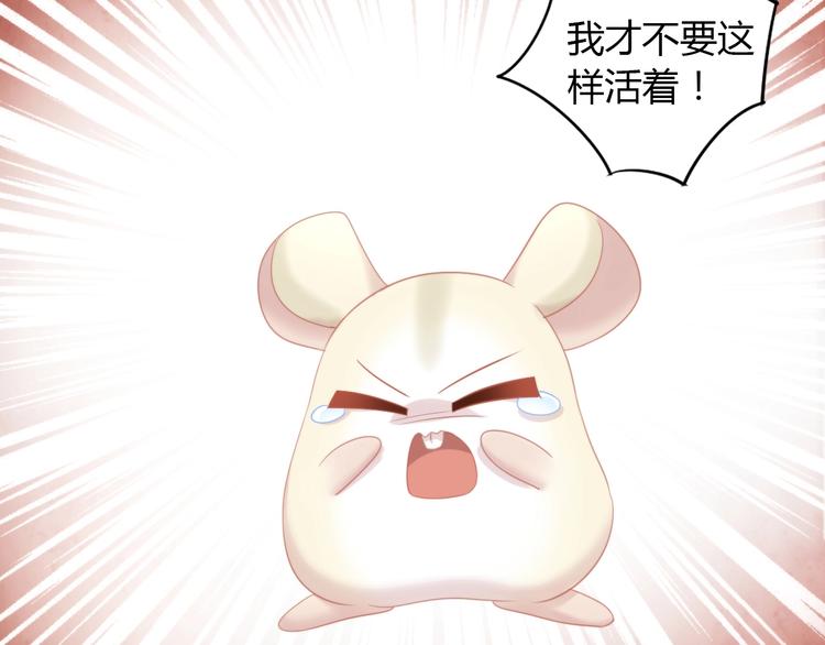 第108话 仓鼠也有梦想！75