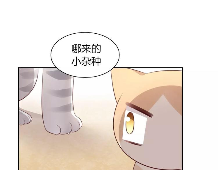 第30话 即将团聚70
