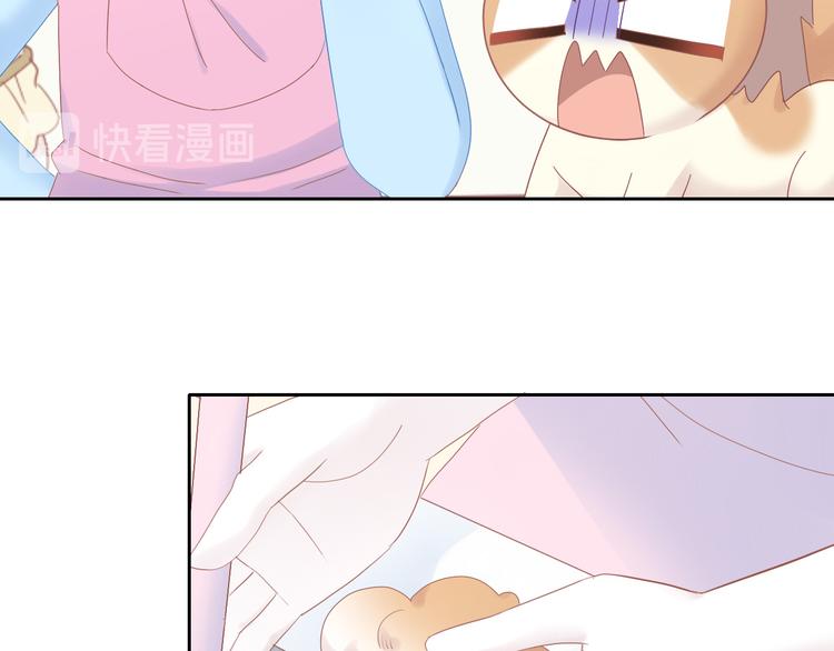 第195话  宠物毛毡75