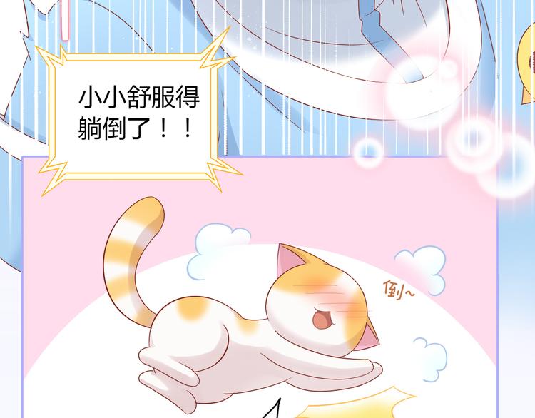 第135话 撸猫技师（三）40