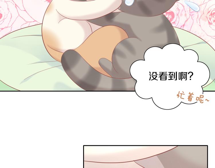 第147话 走花路吧！皮卡！27