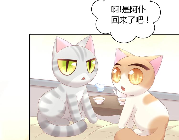 第129话 猫舍C位（五）78
