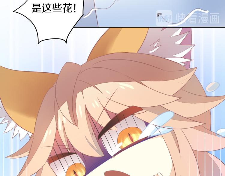 第166话 猫咪花园51