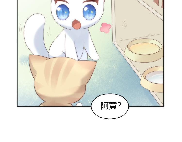 第62话 颜值至上13