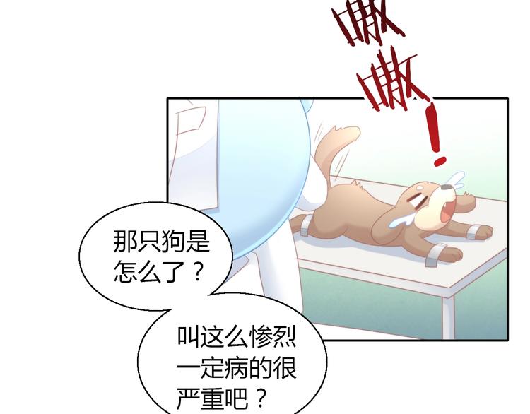 第126话 猫舍C位（二）11