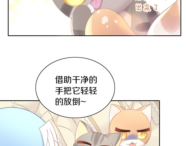第181回  拿破仑65