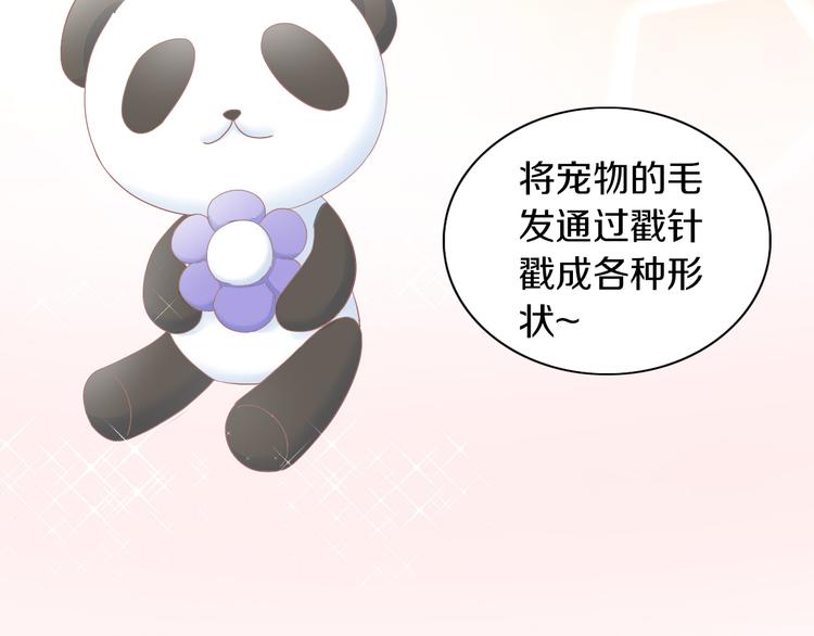 第195话  宠物毛毡20