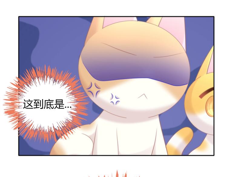 第127话 猫舍C位（三）12