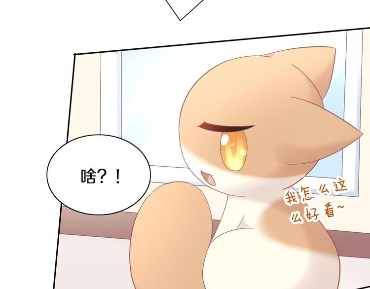 第189话 杂物堆里的它24