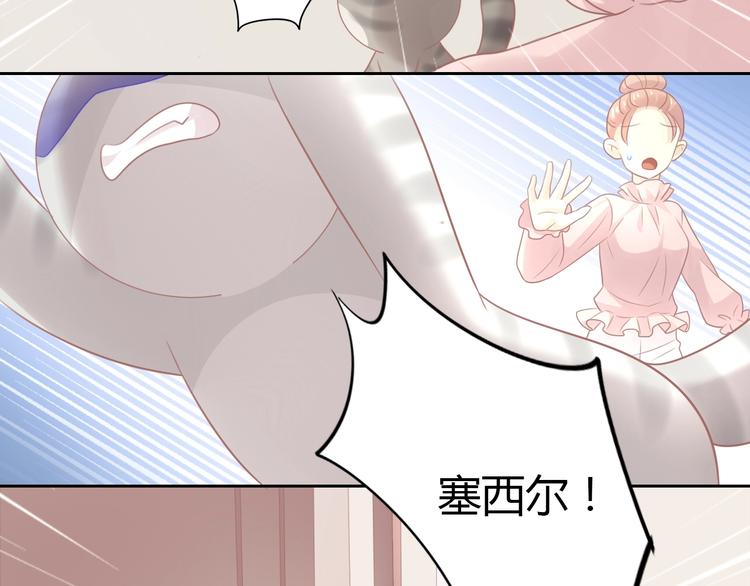 第130话 猫舍C位（六）10