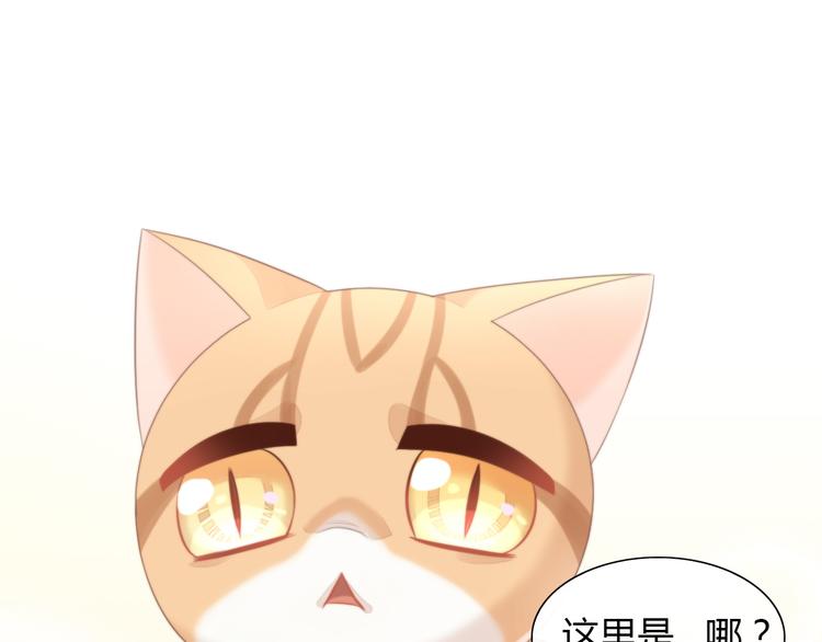 第85话 新伙伴？！31