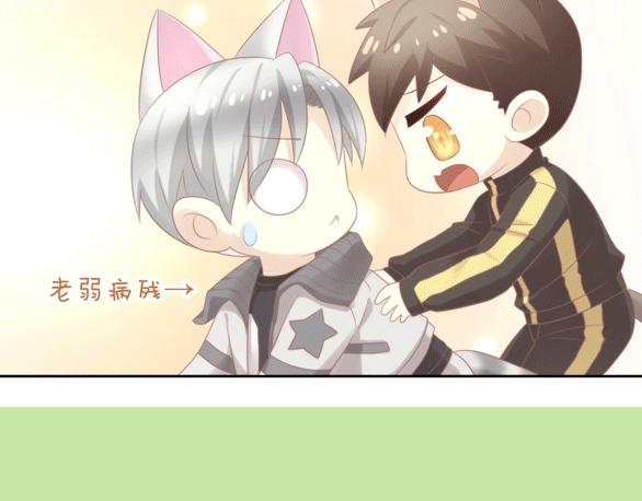 第125话 猫舍C位（一）91