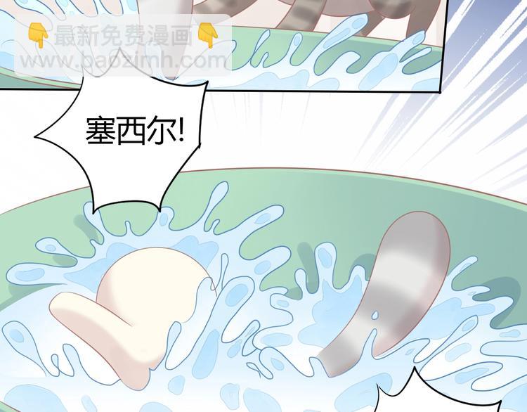 第128话 猫舍C位（四）70