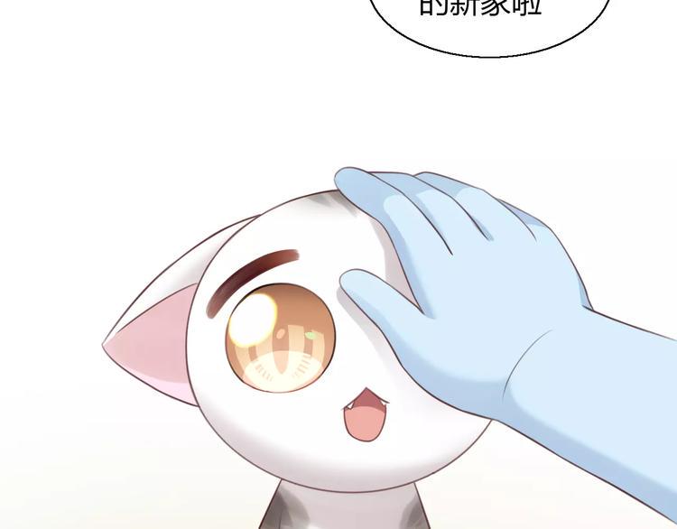 第47话 小可爱被送走了61