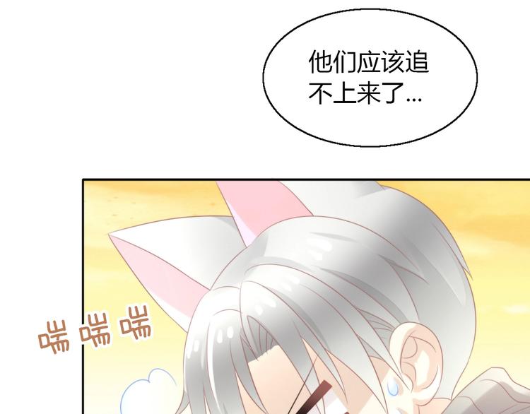 第125话 猫舍C位（一）62