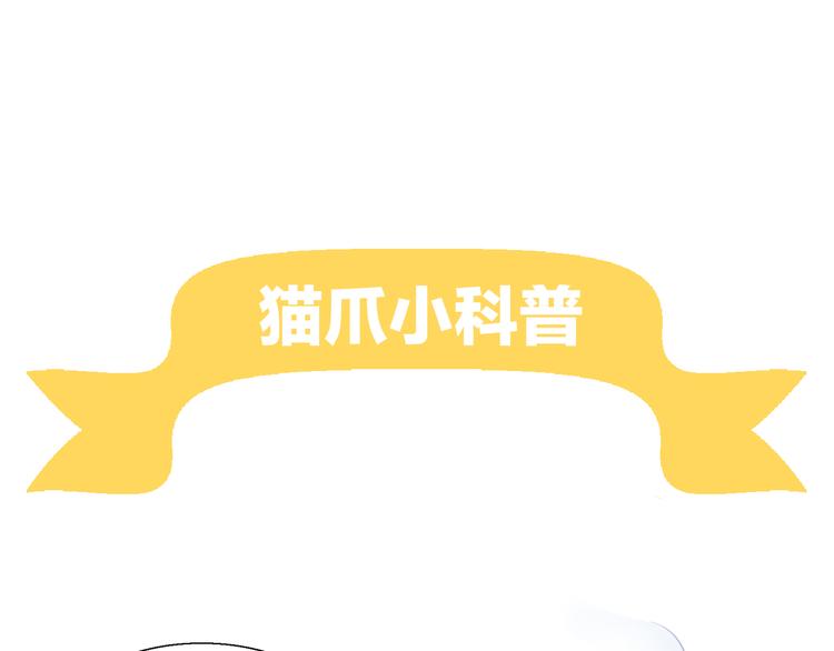 第51话 人猫大互换？116