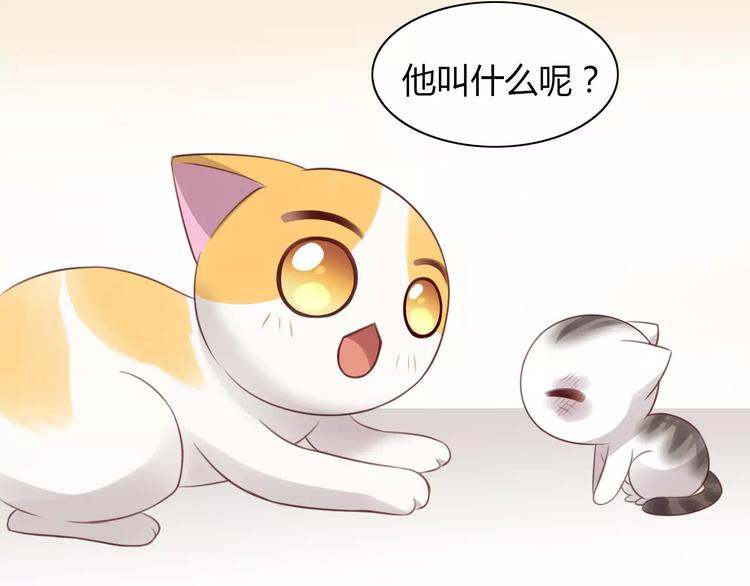 第40话 小可怜78