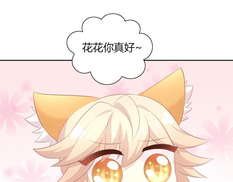 第128话 猫舍C位（四）25