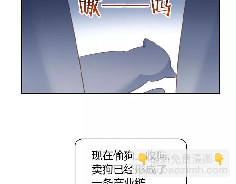 第14话  萌宠失踪57