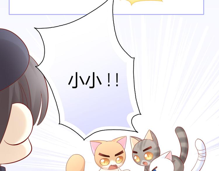 第135话 撸猫技师（三）41