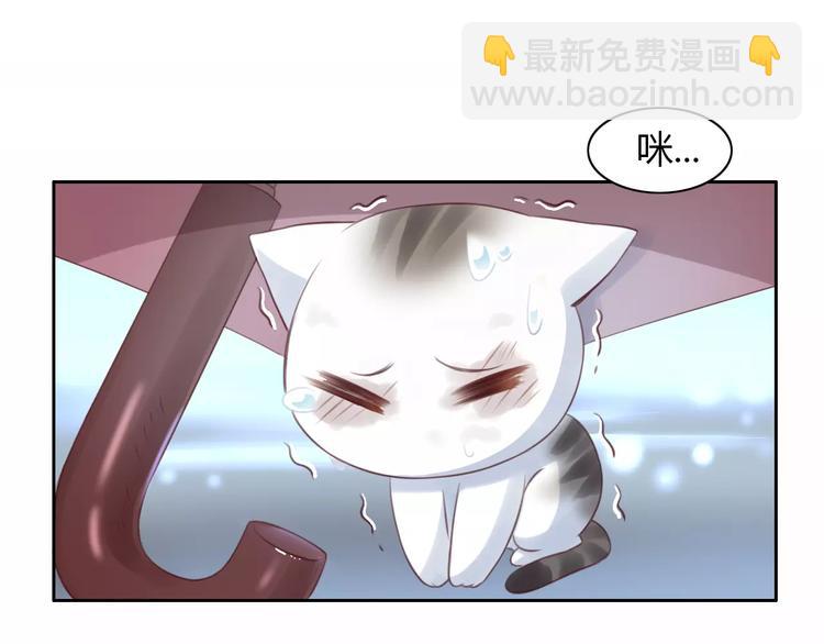 第40话 小可怜35