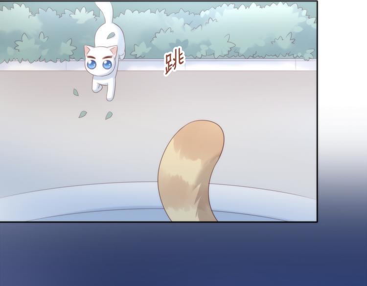 第63话 她的秘密56