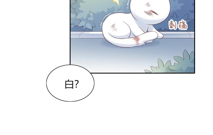 第57话 替代品66