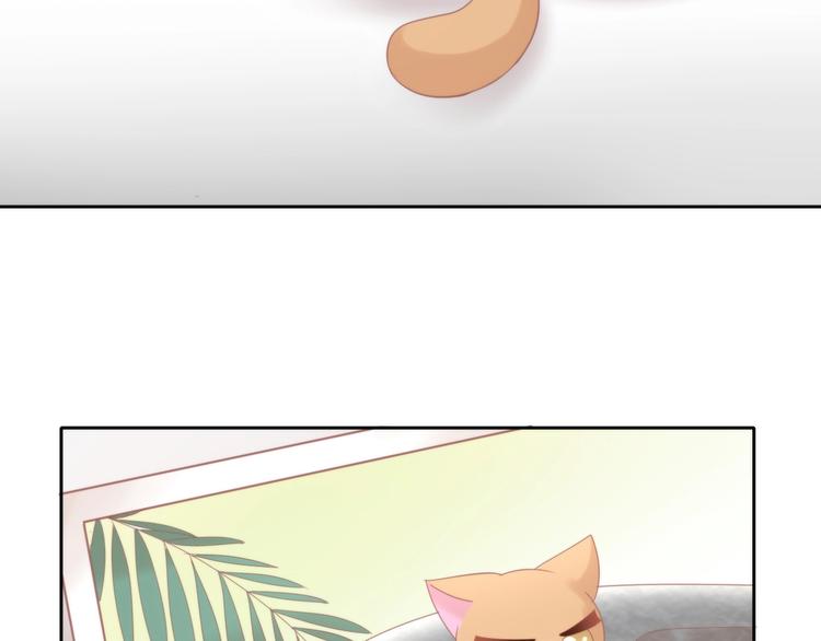 第104话 照骗20