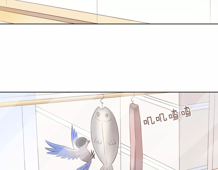 第39话 鸟妈妈的苦心15