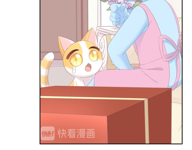 第196话 苹果大改造!14