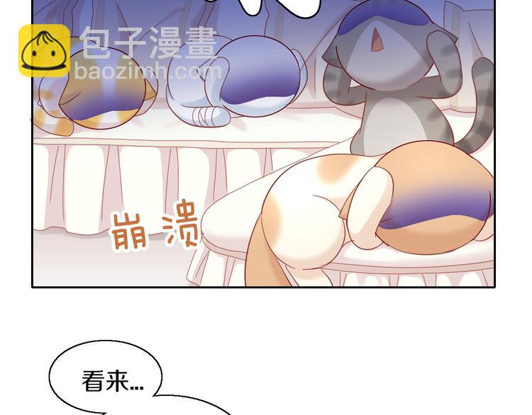 第143话 腮红鹦鹉86
