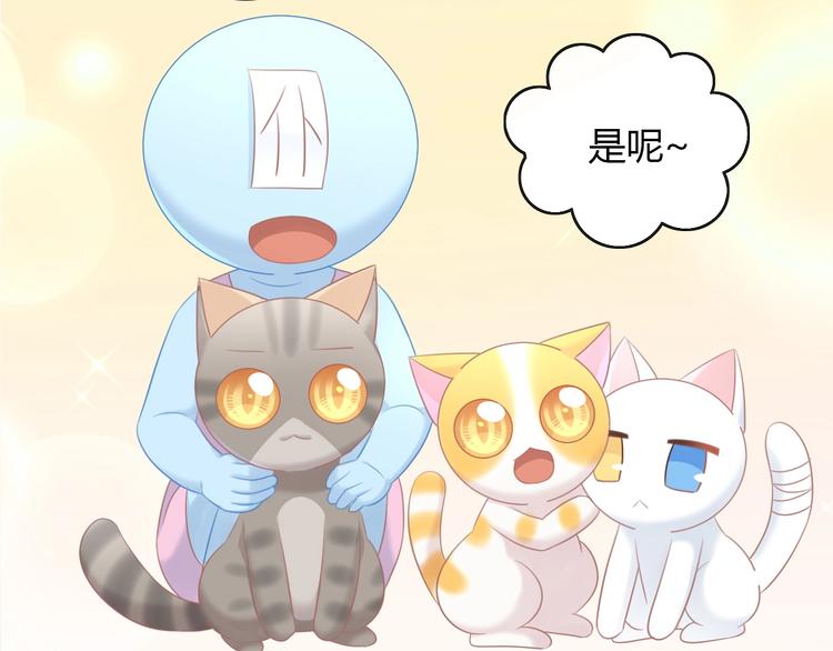 第128话 猫舍C位（四）90