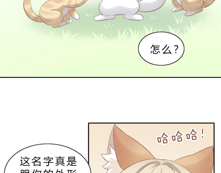 第61话 合作9