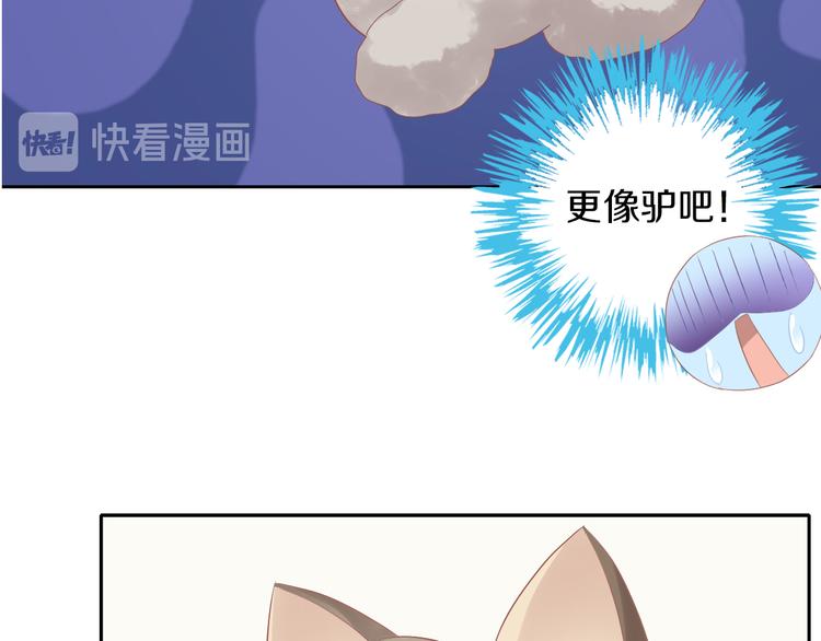 第195话  宠物毛毡62