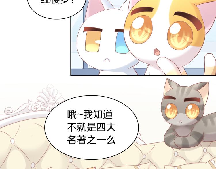 第164话 红楼味道11